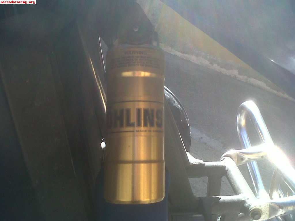Gas gas hp wild 450cc gripao