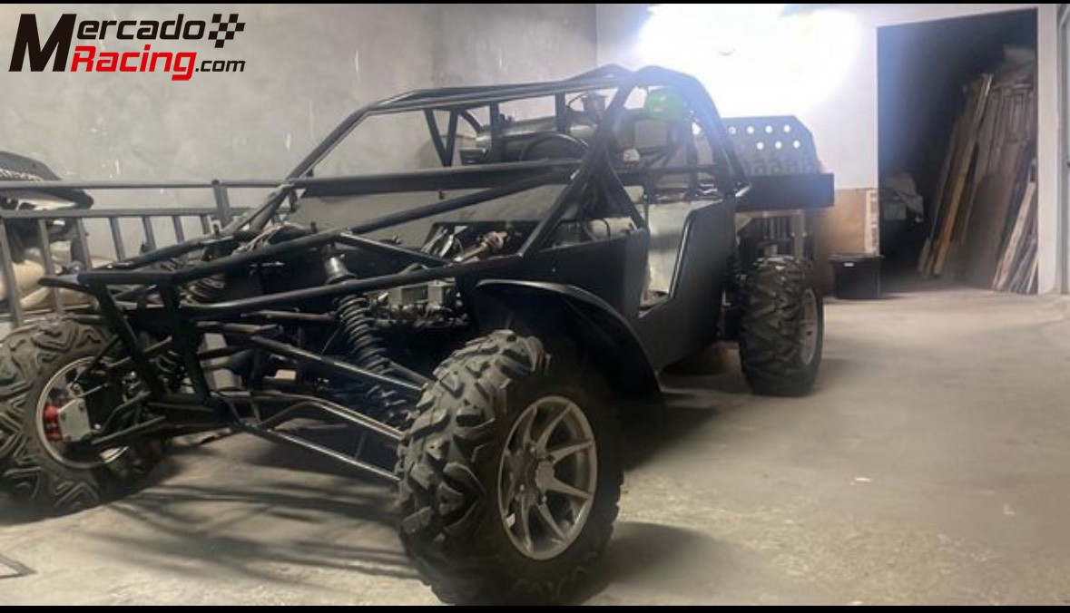 Buggy puma 2010