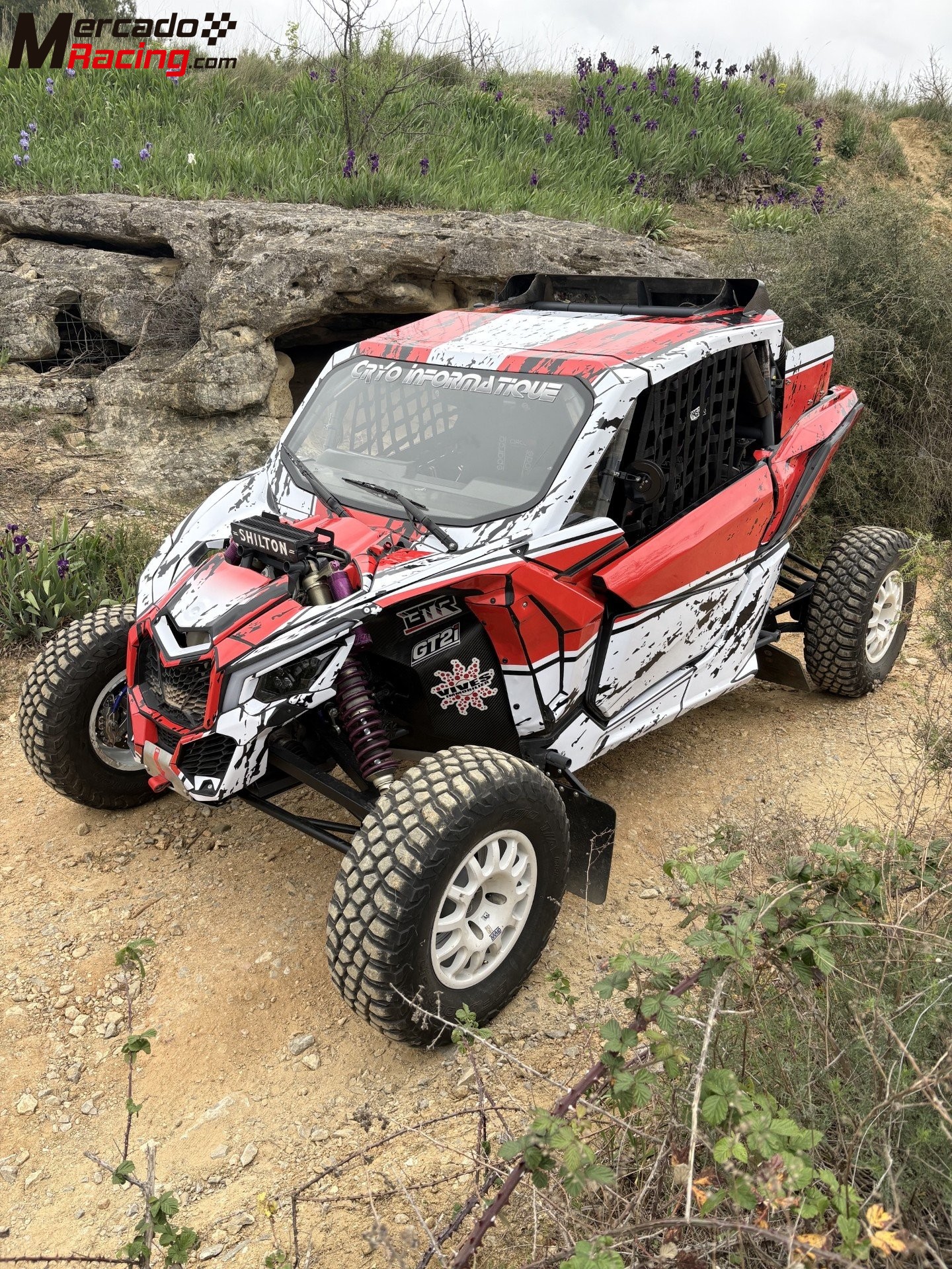 Canam x3 fia t3 south racing