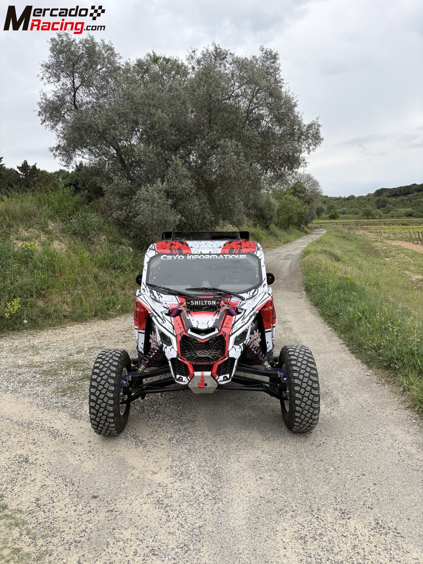 Canam x3 fia t3 south racing