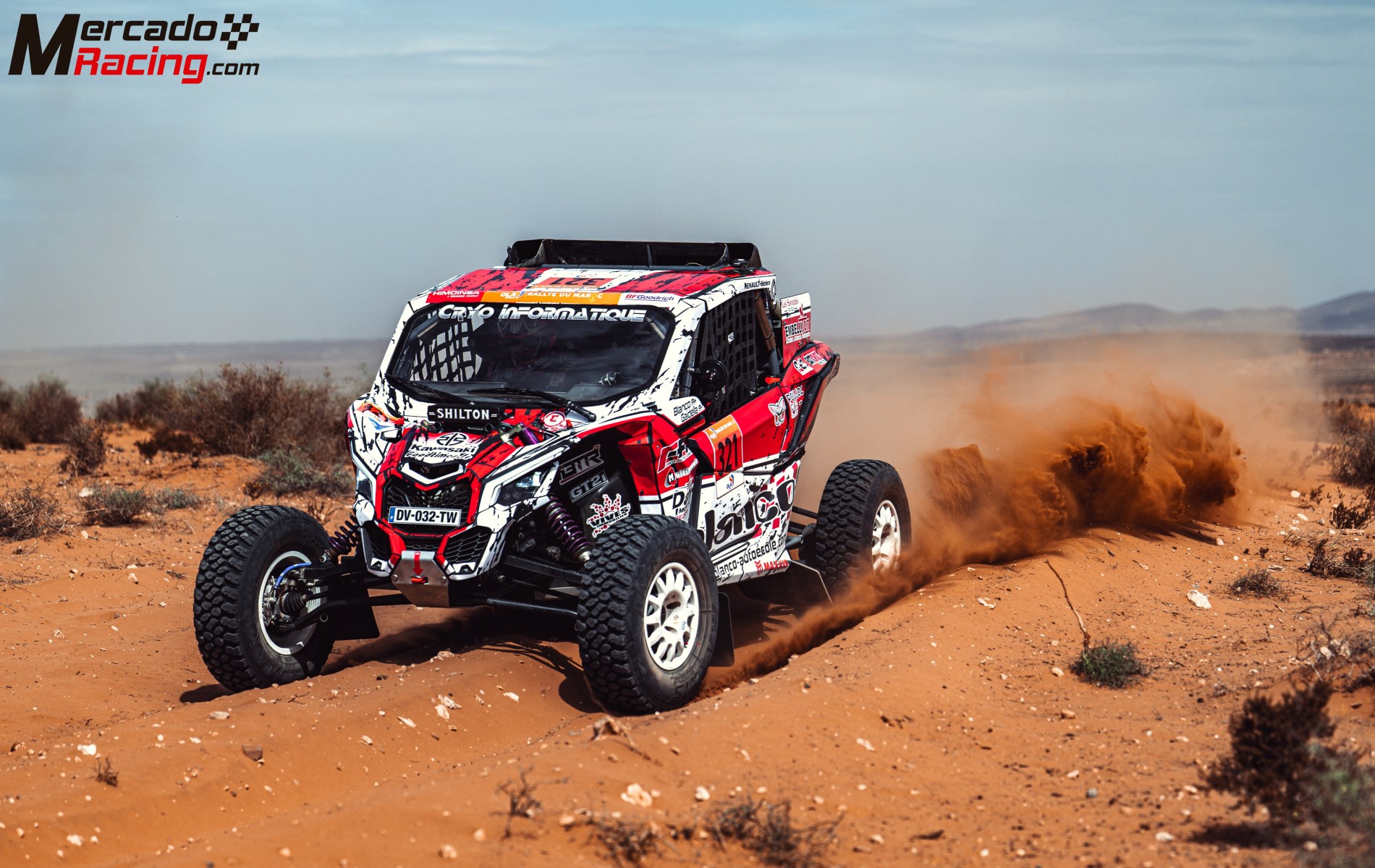 Canam x3 fia t3 south racing