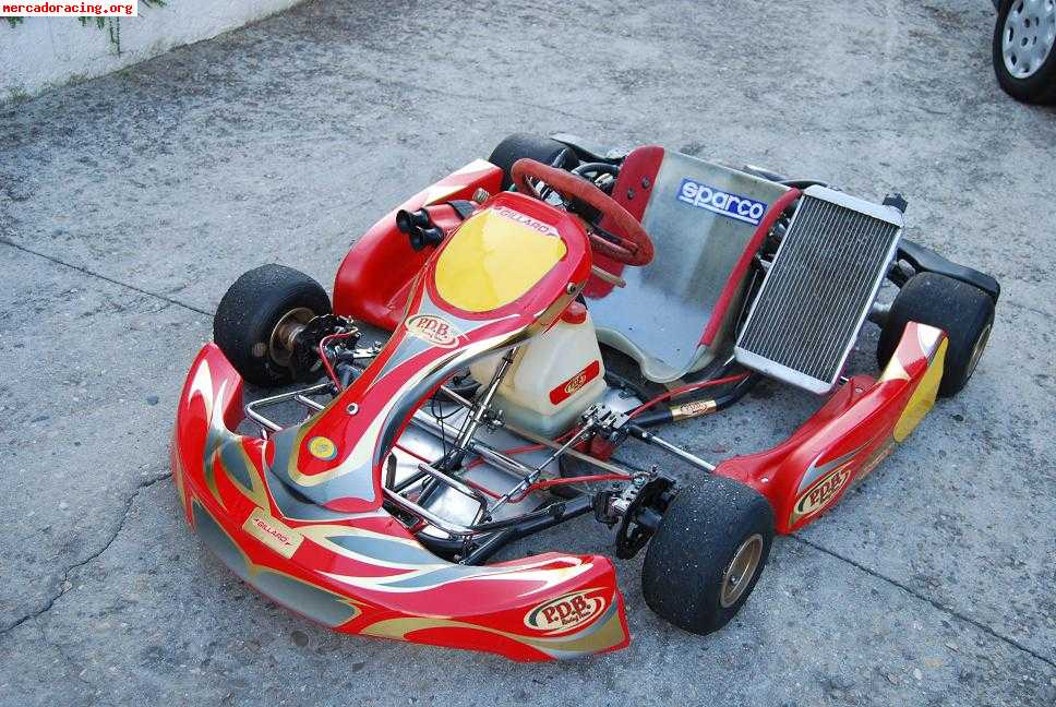 Cambiaria kart 125 de marchas kz2 del año 2009 por coche de 