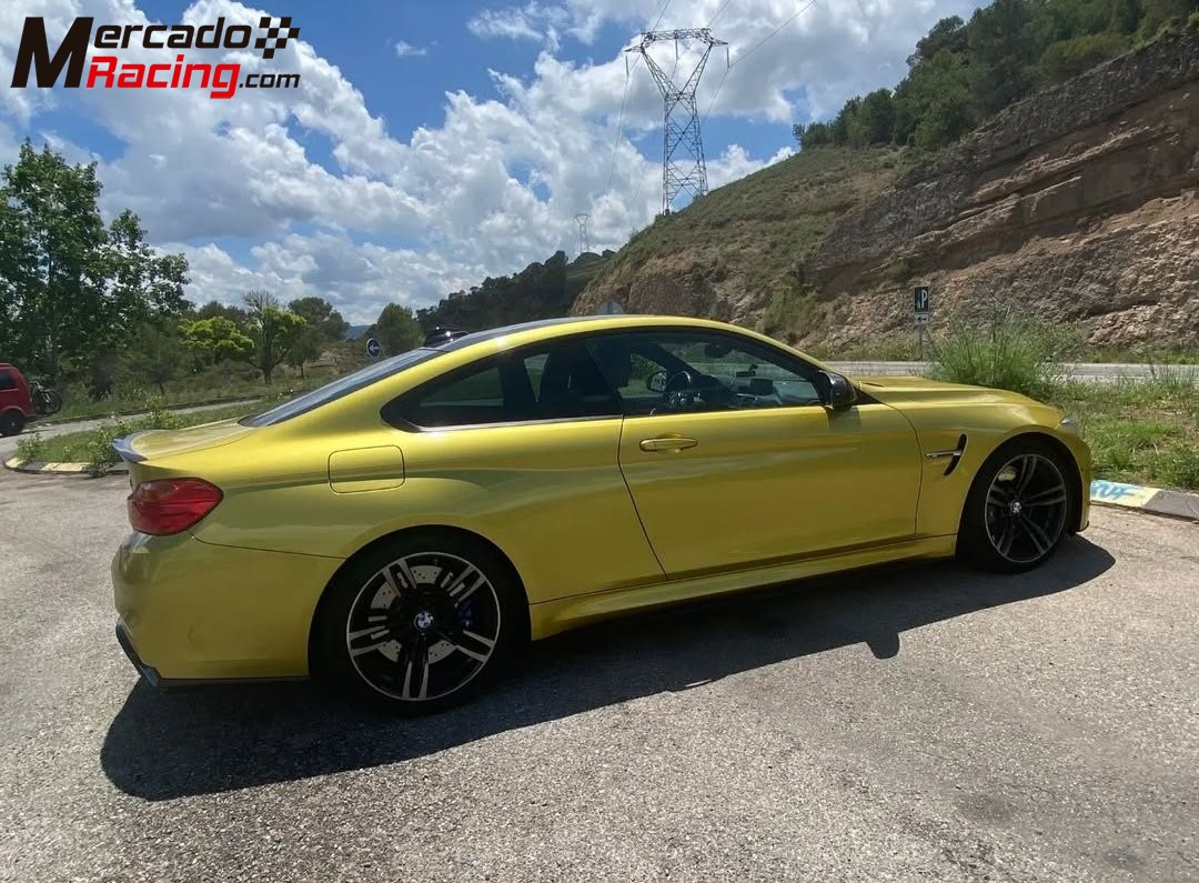 Proyecto bmw m4 rally 