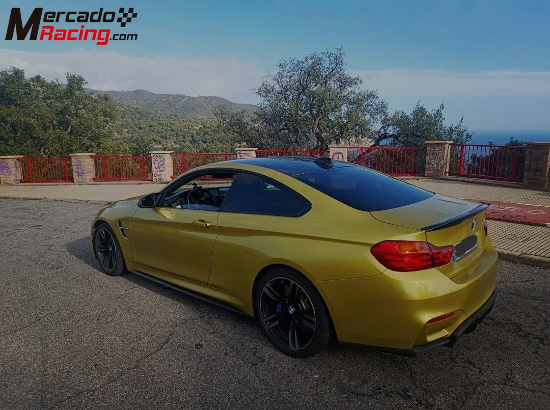 Proyecto bmw m4 rally 