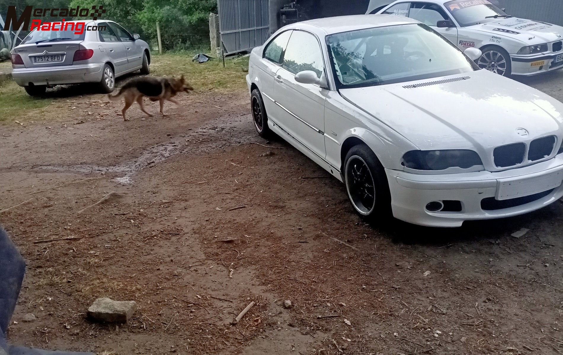 Bmw rally