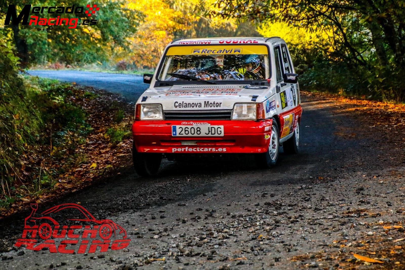 Seat marbella iniciacion recalvi