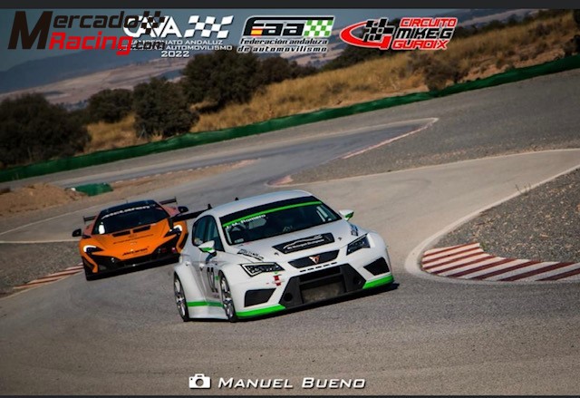 Cupra tcr dsg