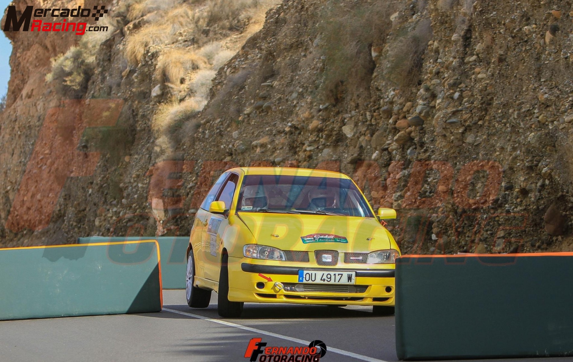 Seat ibiza cupra 250cv