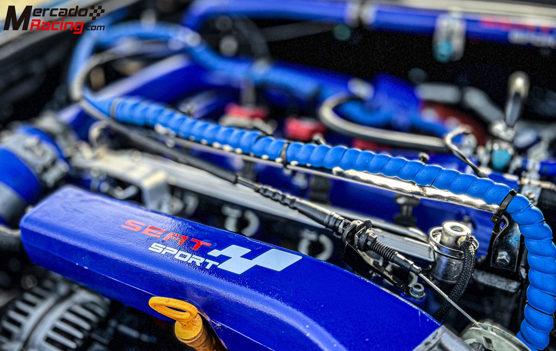 Seat ibiza cupra 1.8 turbo 