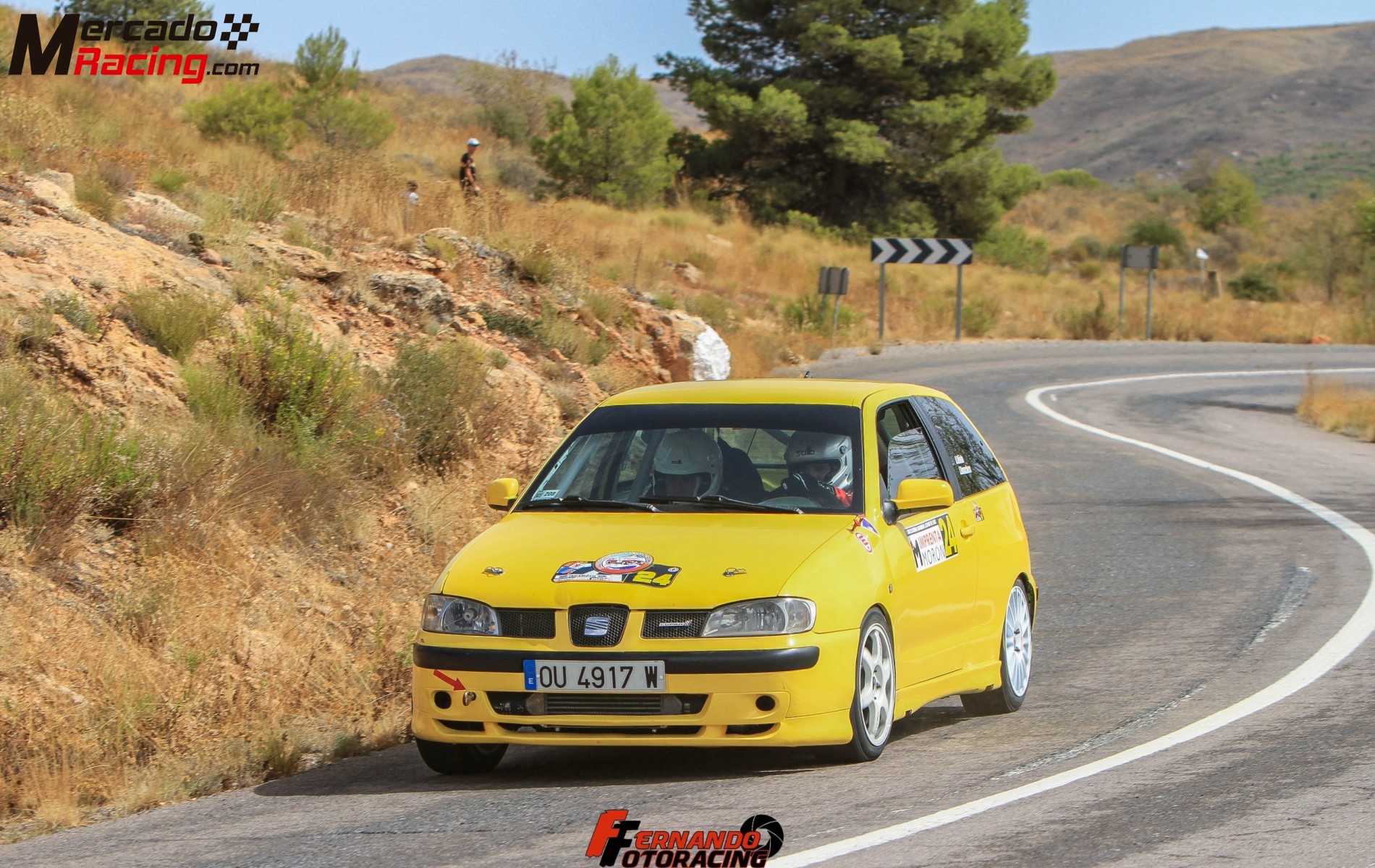 Seat ibiza cupra rally