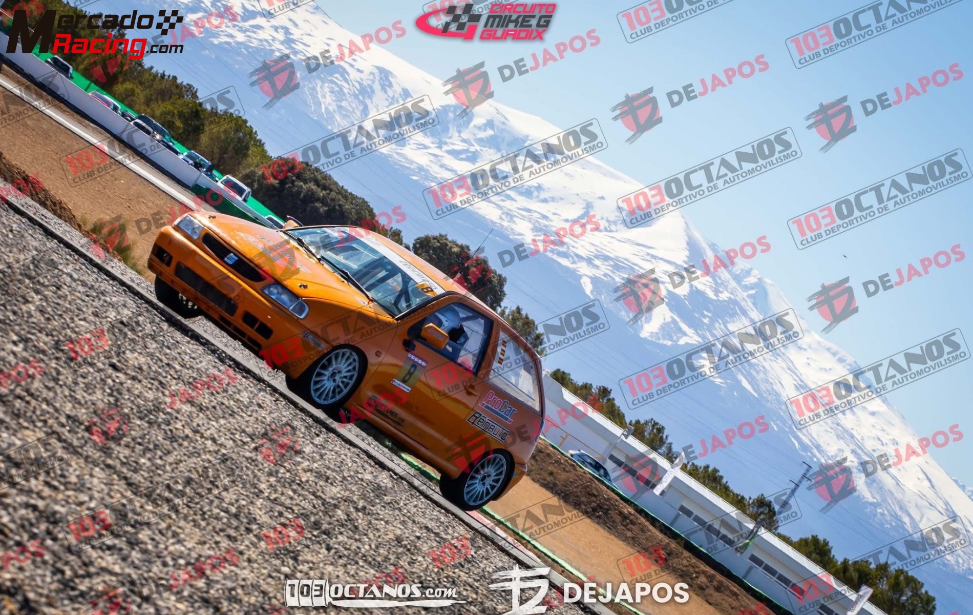 Seat ibiza cupra circuito, rallye ,y montaña