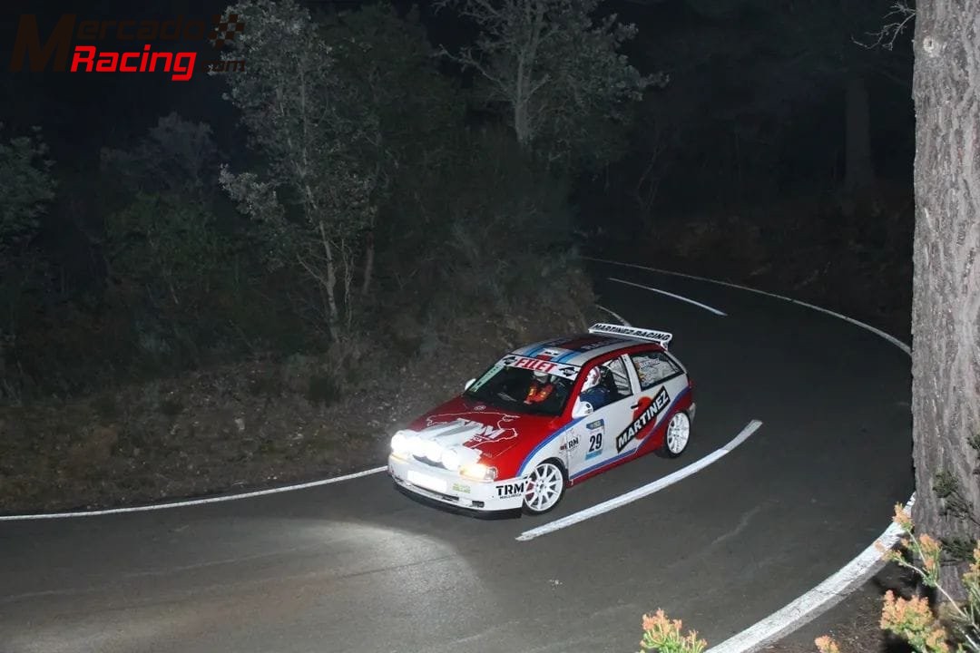 Seat ibiza gti grupo a8