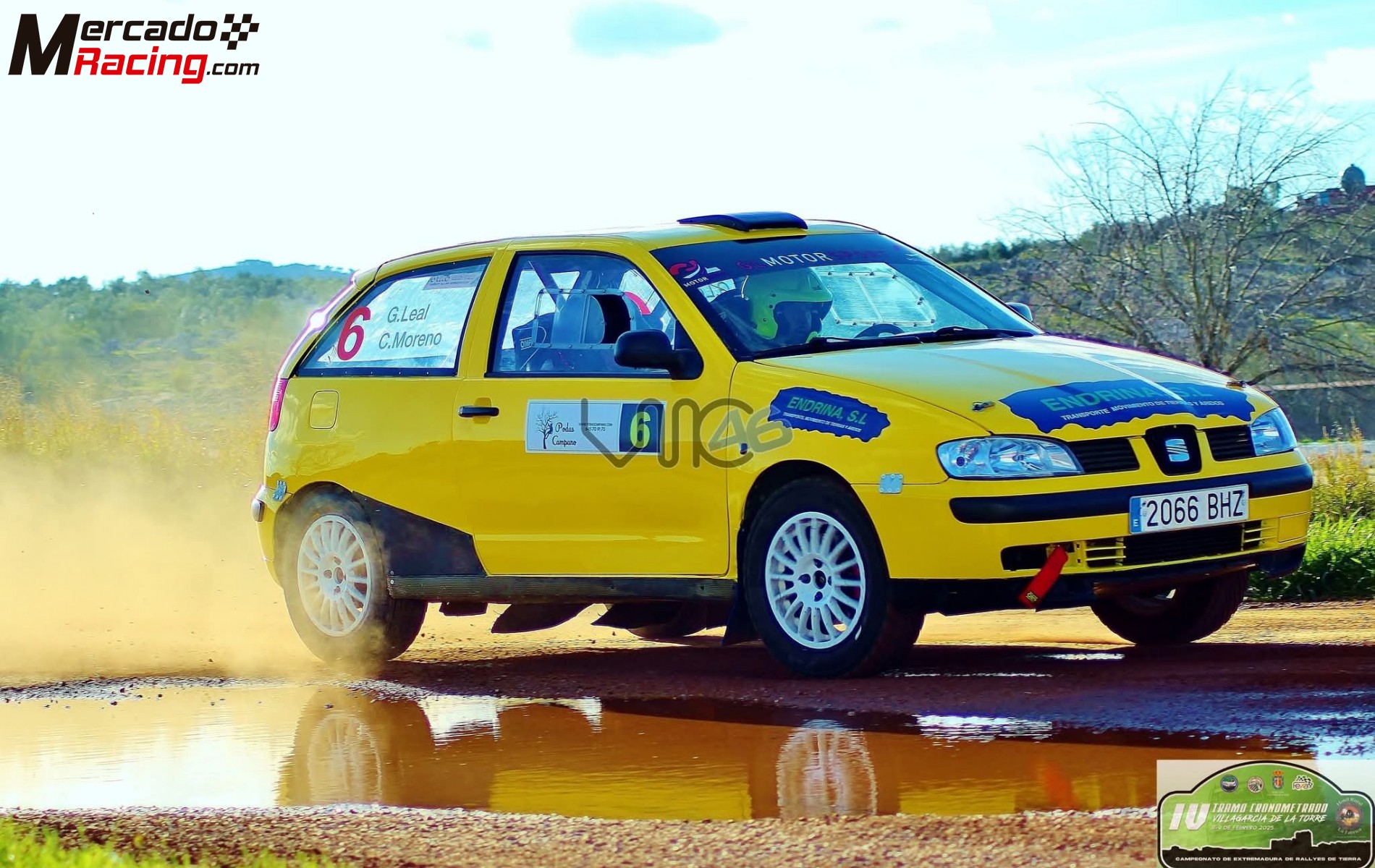 Ibiza cupra copa 