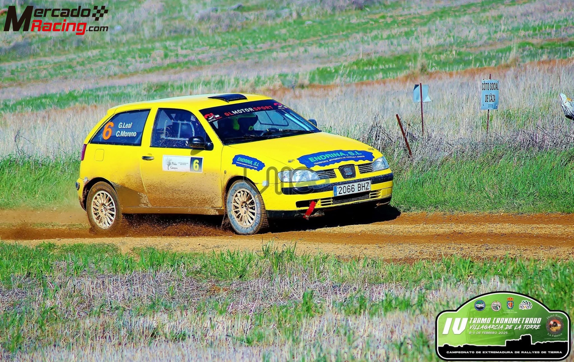 Ibiza cupra copa 