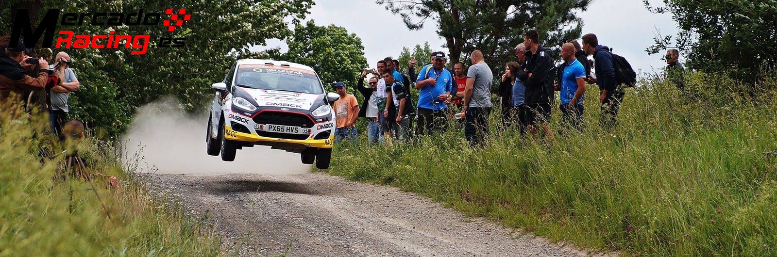 Nil solans vende ford fiesta r2t