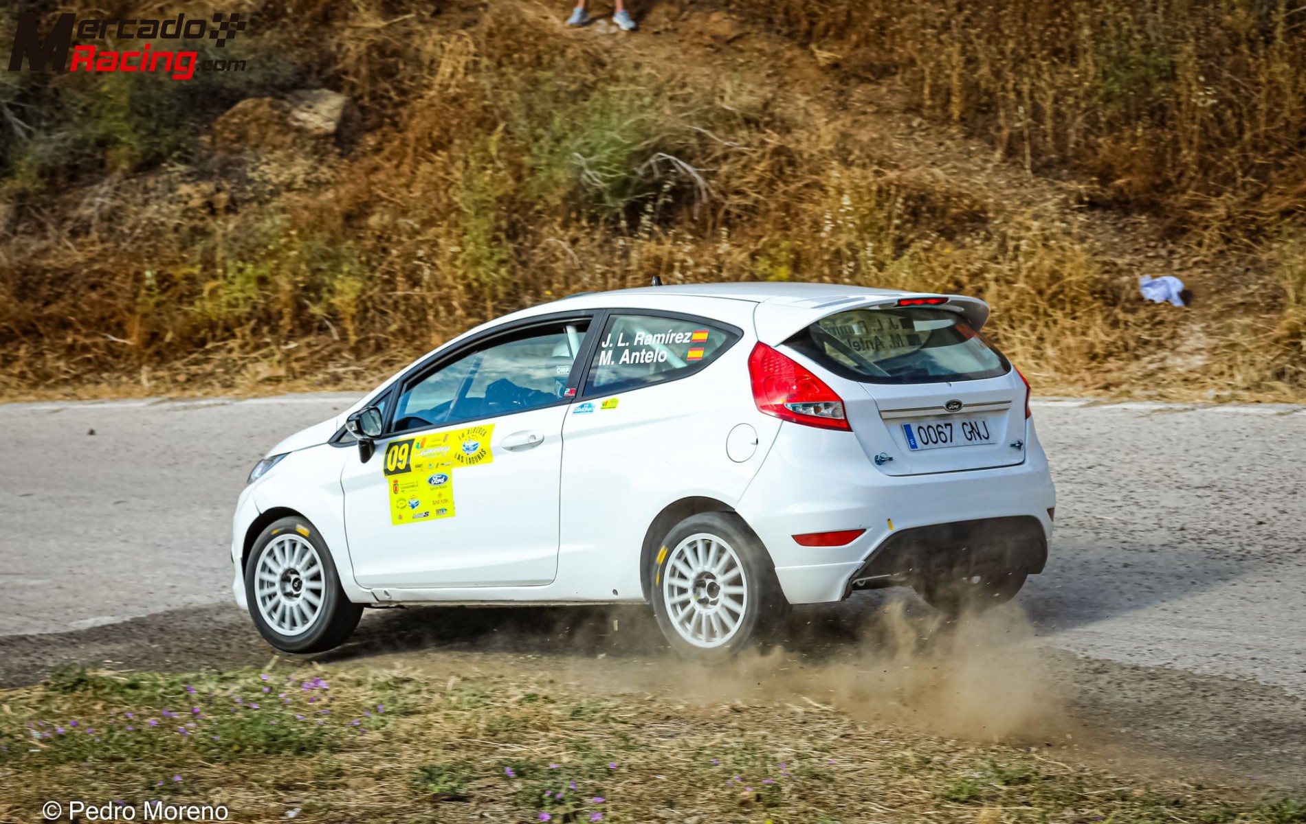 Ford fiesta r2 fia