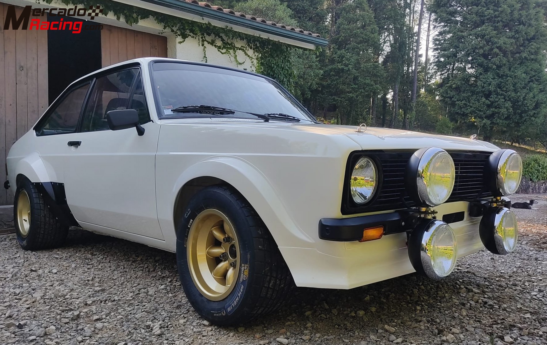 Ford escort mk2 full group 4 - fully rebuilt, brand new, zero km