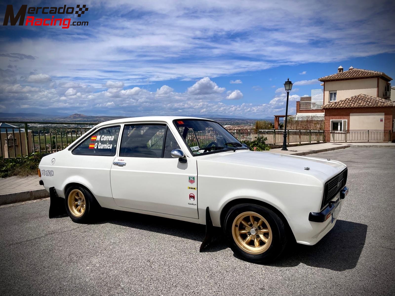 1979 ford escort rs2000 mk2 grupo 2 fia pasport