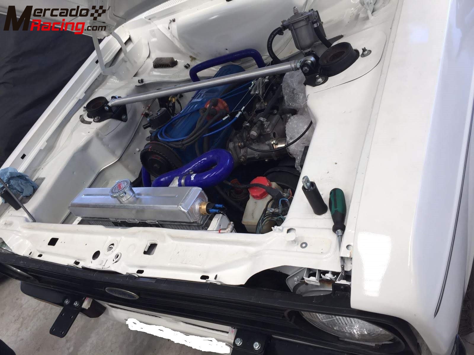 1979 ford escort rs2000 mk2 grupo 2 fia pasport