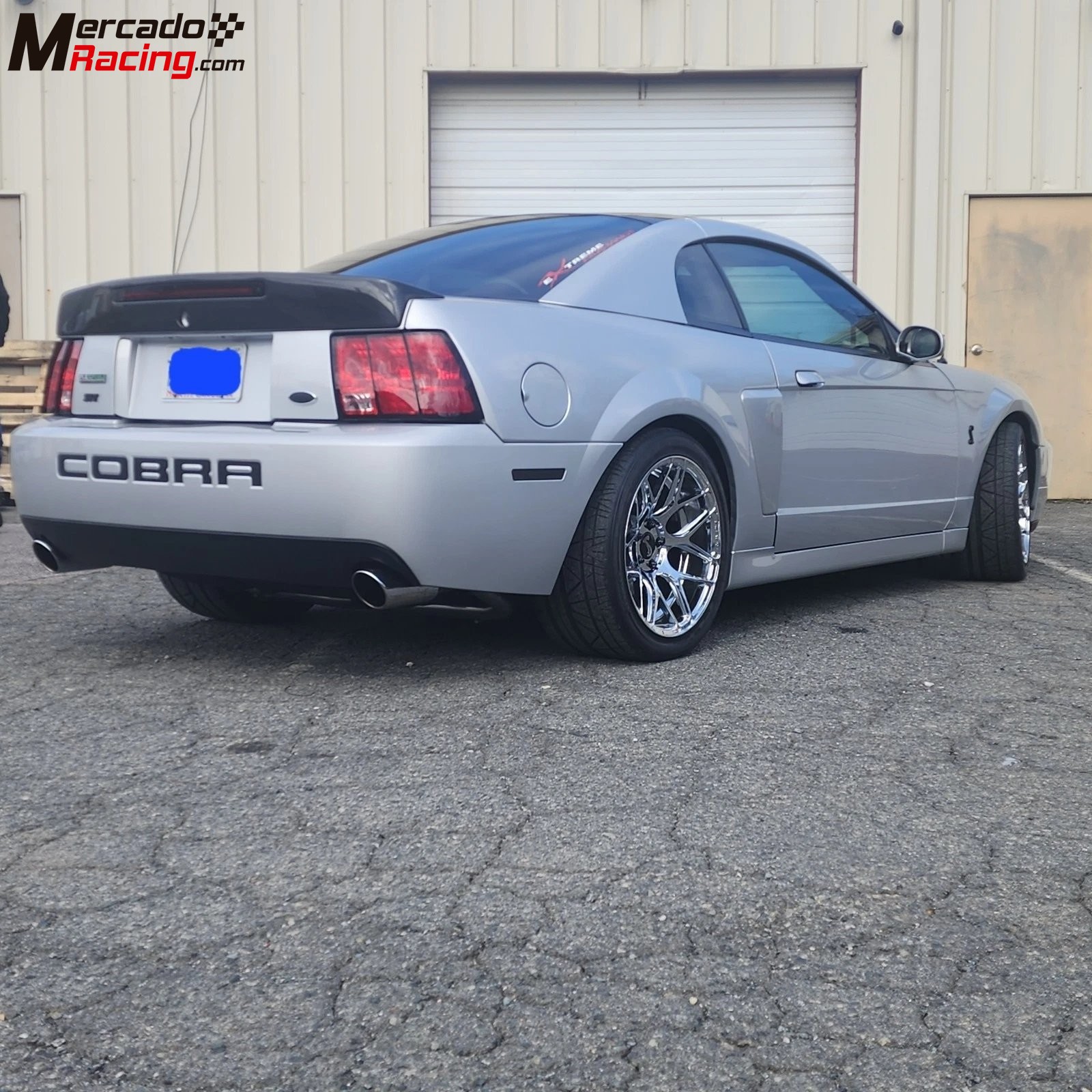 2004 ford mustang cobra svt terminator