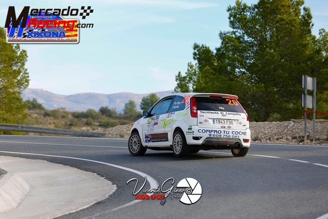 Fiesta st carroceria custom cage