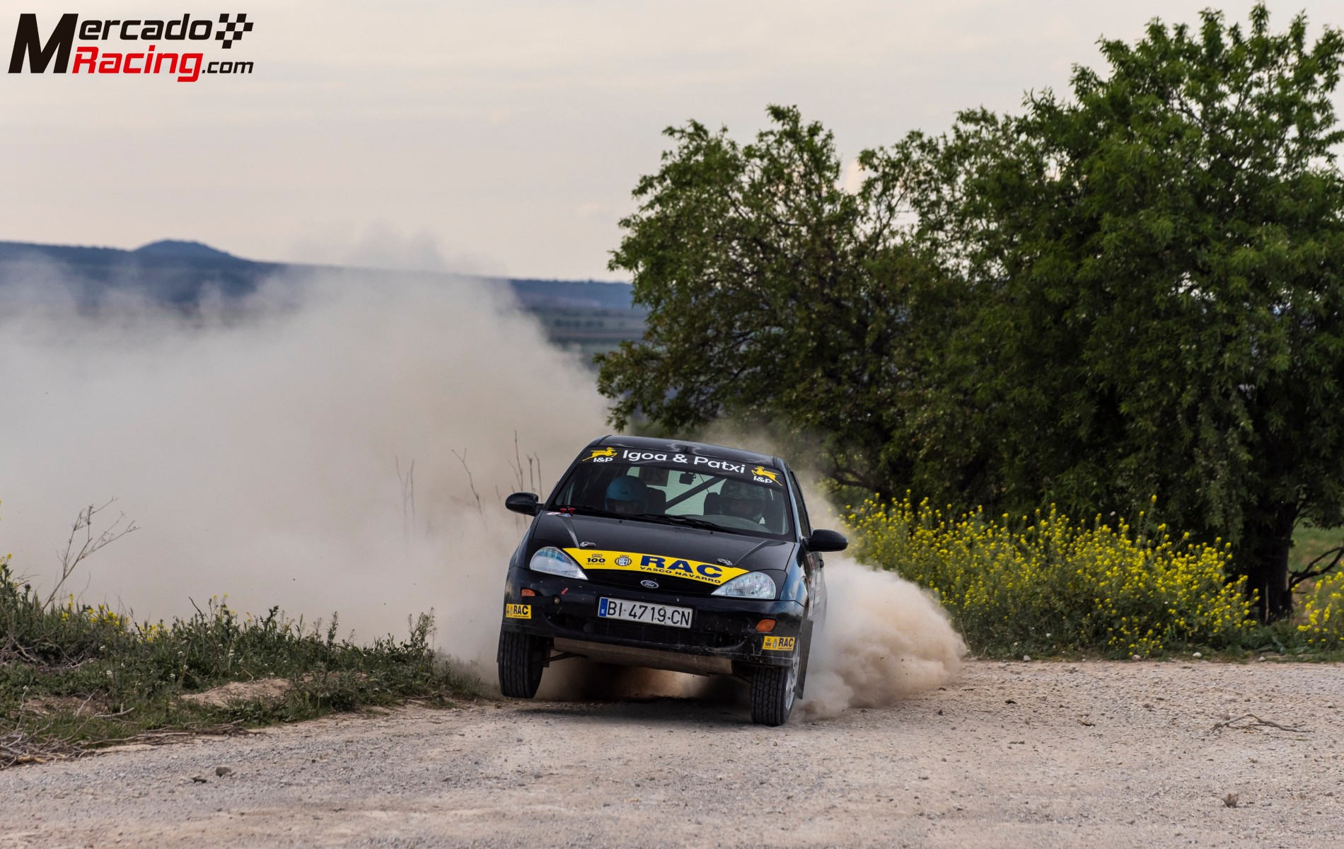 Ford focus copa racvn