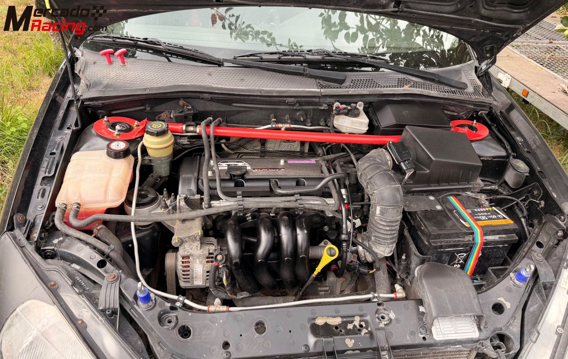 Ford focus copa racvn