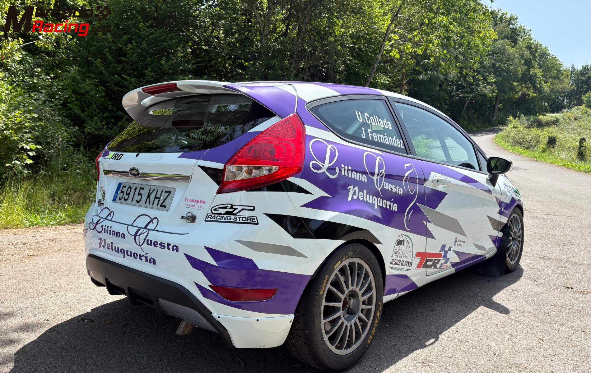Ford fiesta r200