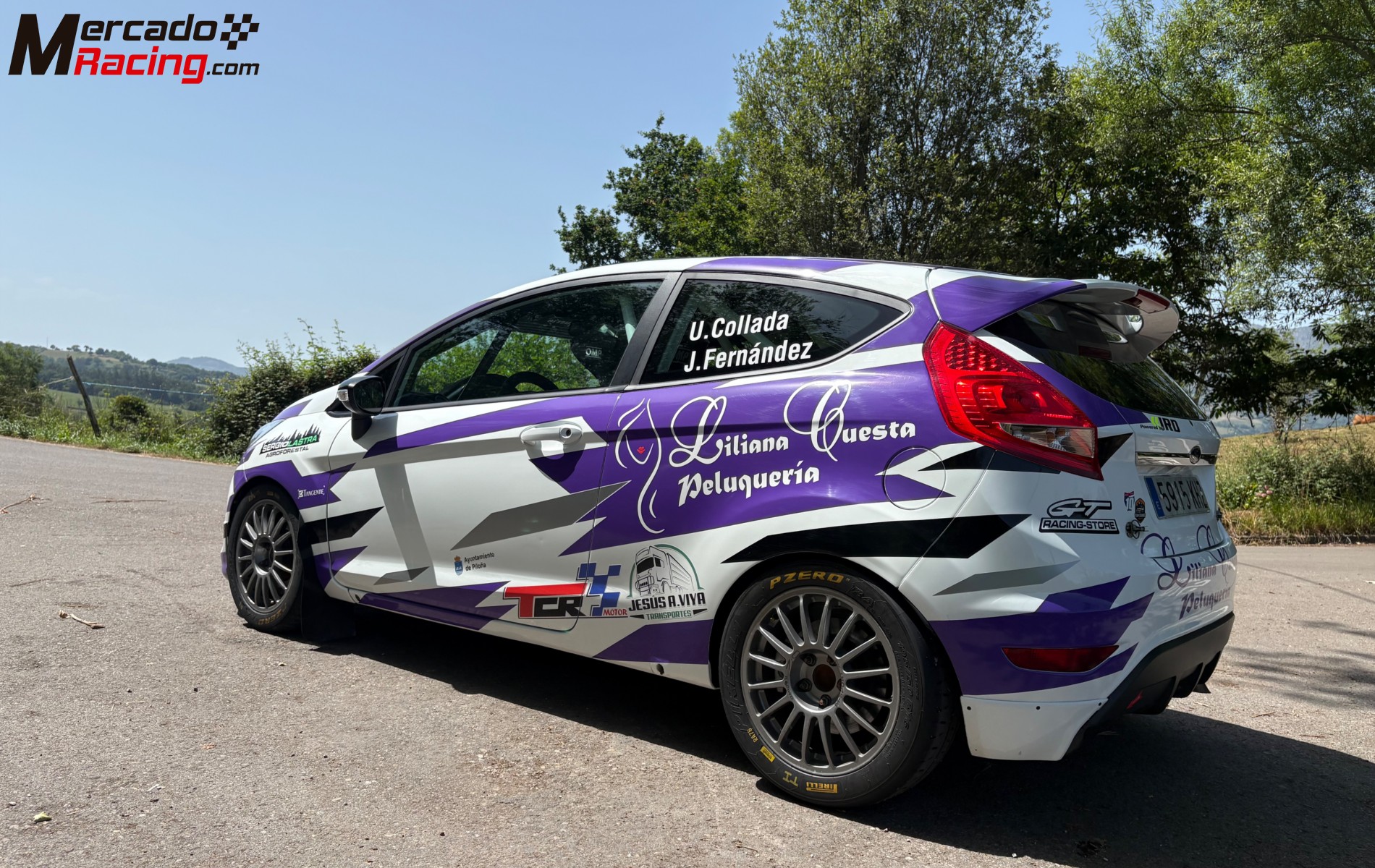 Ford fiesta r200