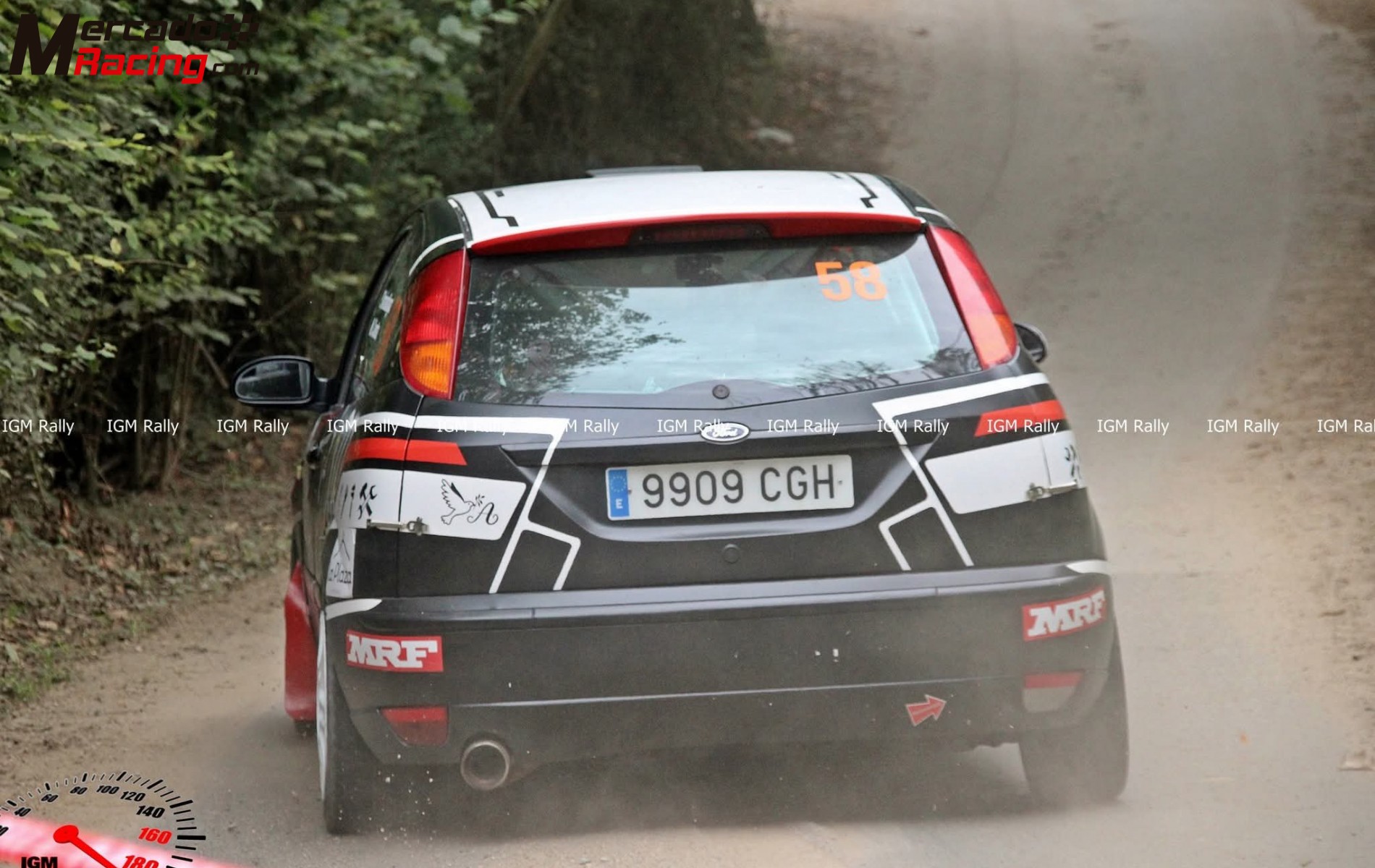 Focus st 