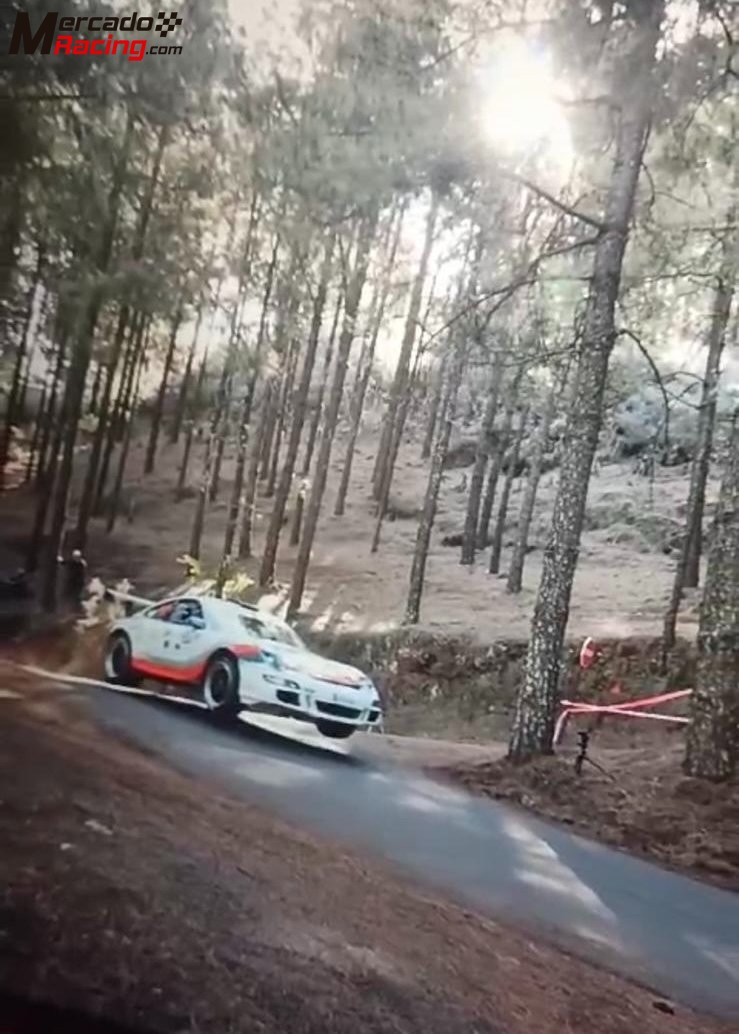 Porsche 997.1 rally 2008