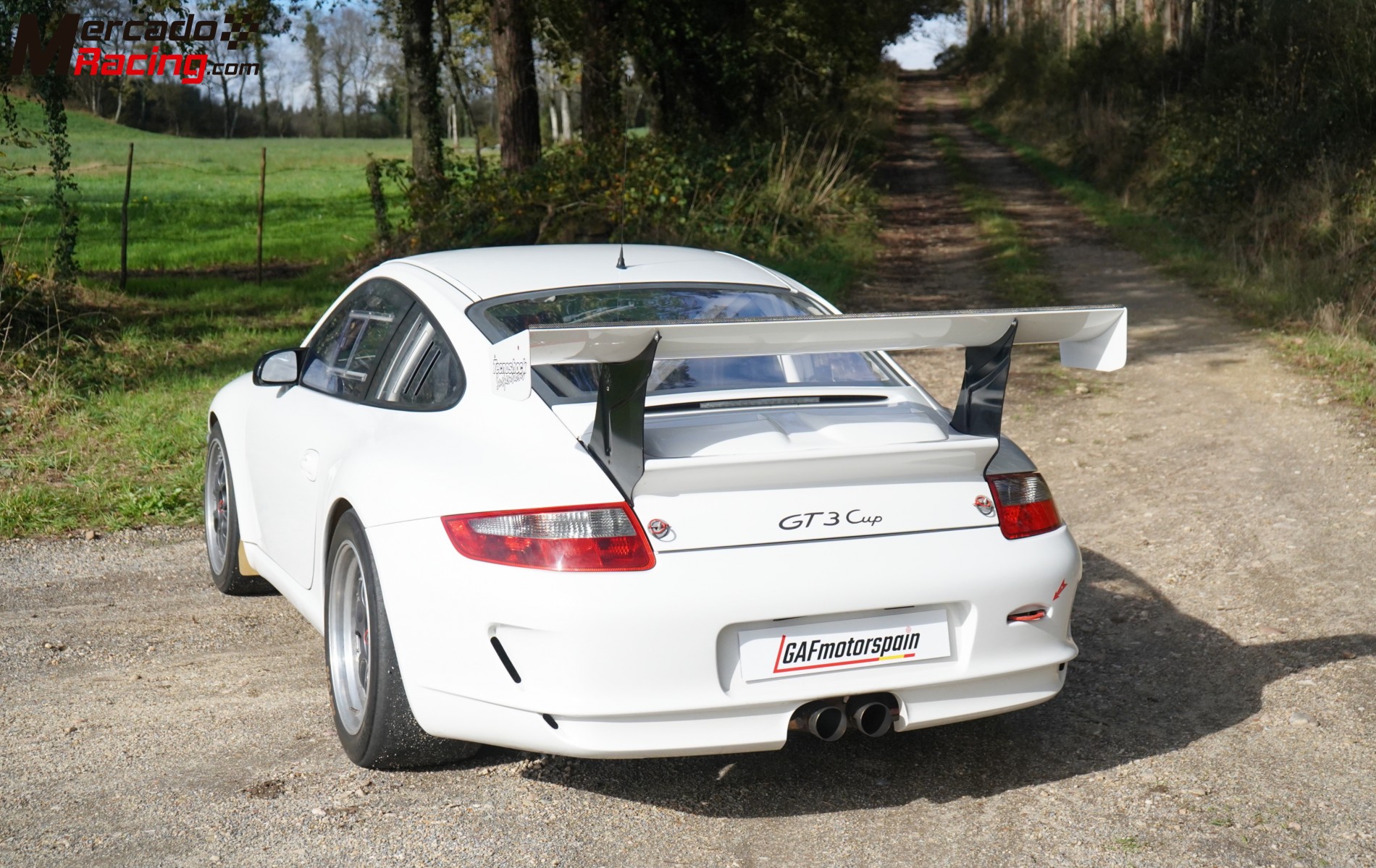 Porsche 911 gt3 cup - rallyes