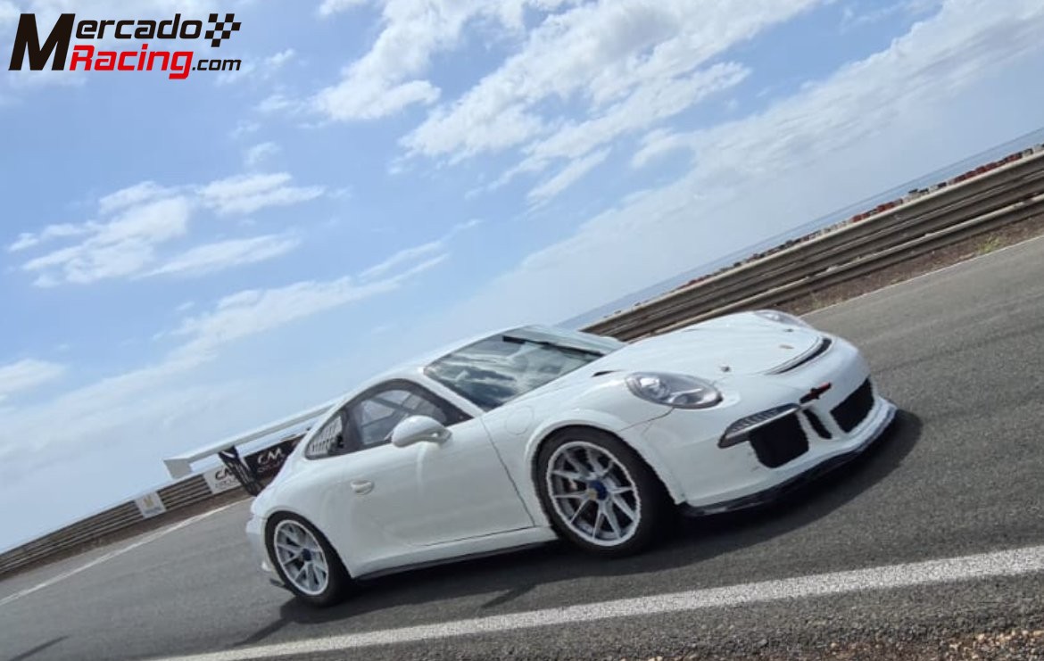 Porsche 991.1 gt3 cup