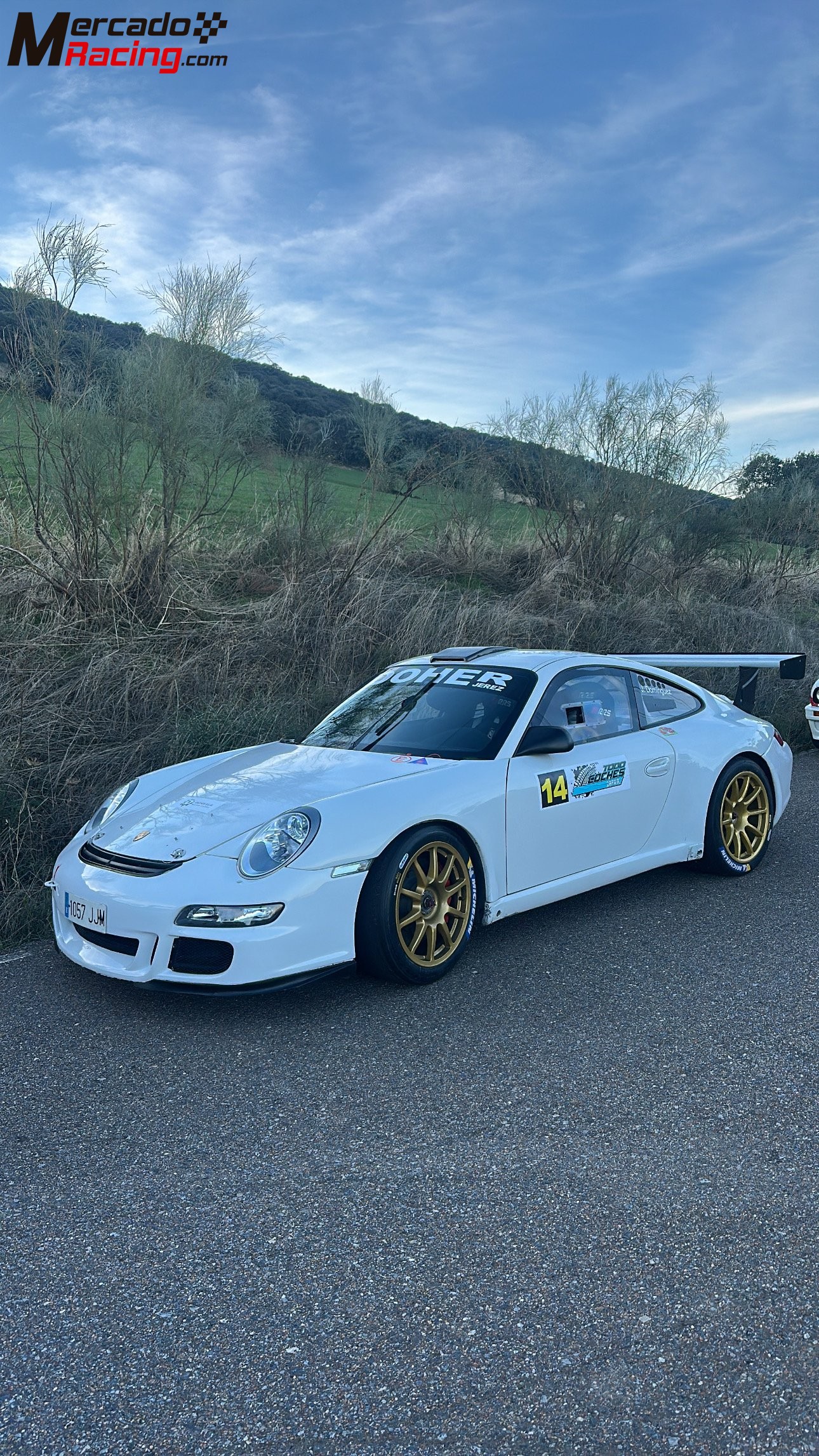 Porsche 997 gt3 rally 2008