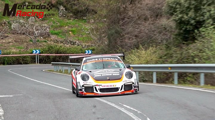 Porsche 991 cup r ,hill climb monster 