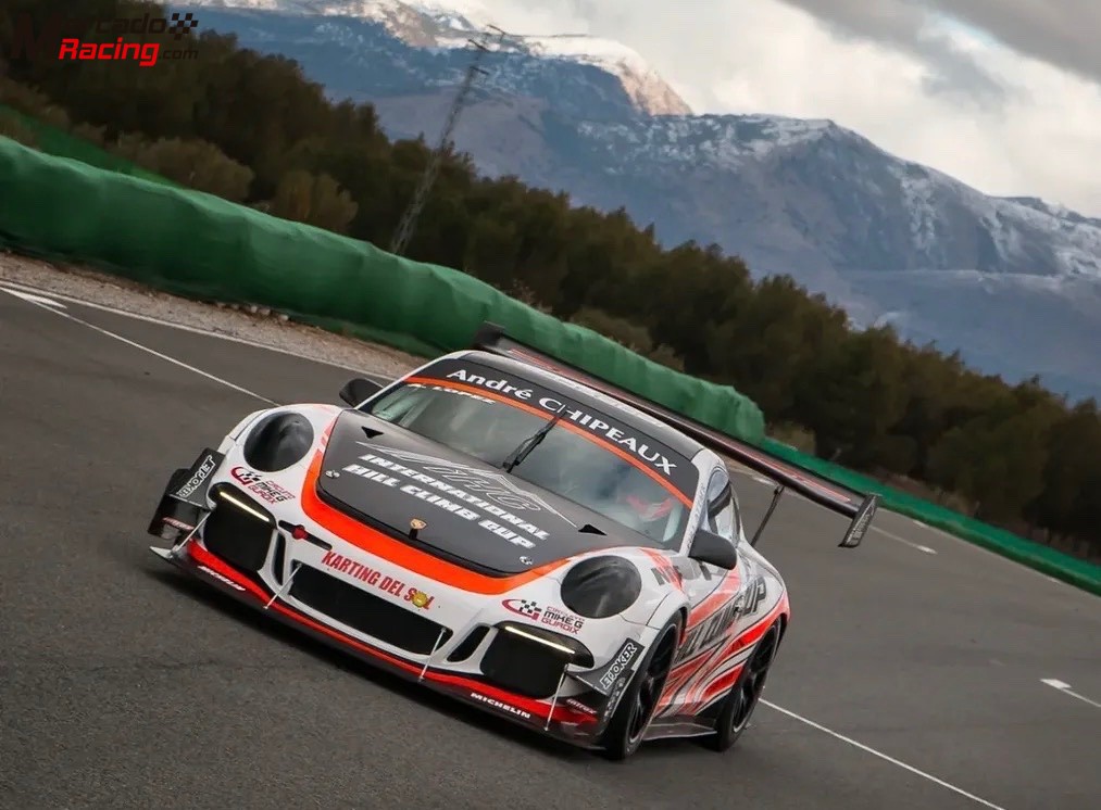 Porsche 991 cup r ,hill climb monster 