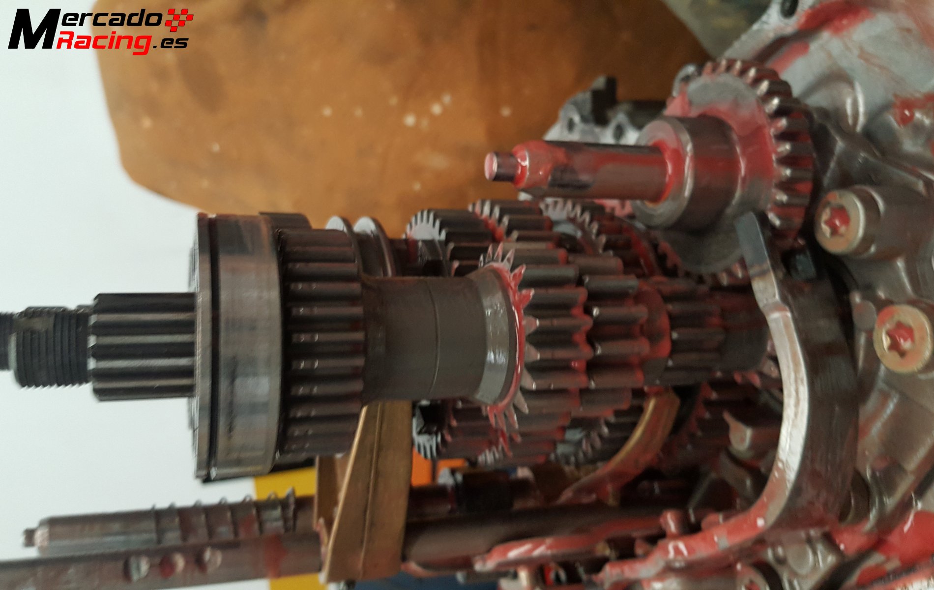 M.a dientes rectos a crabots