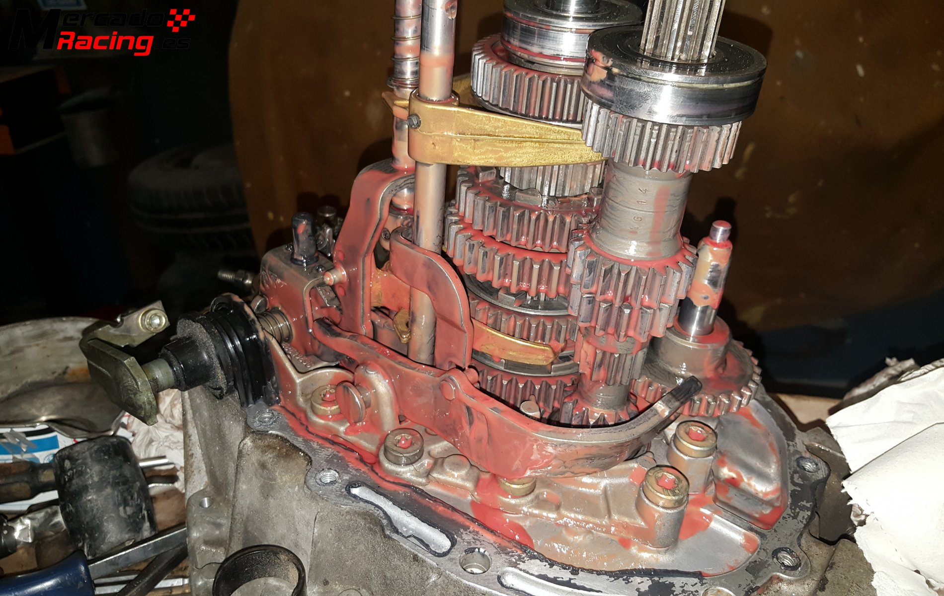 M.a dientes rectos a crabots