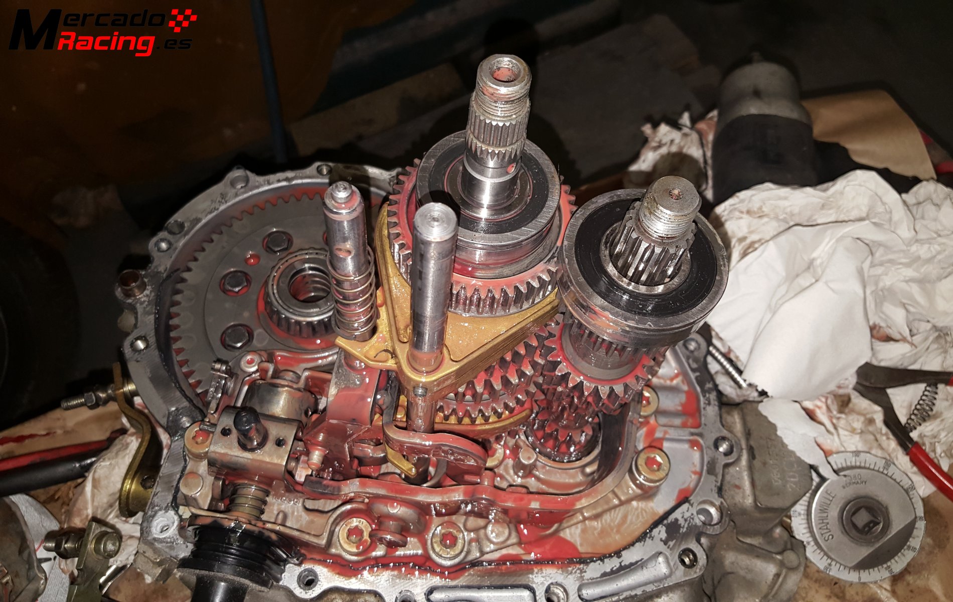 M.a dientes rectos a crabots