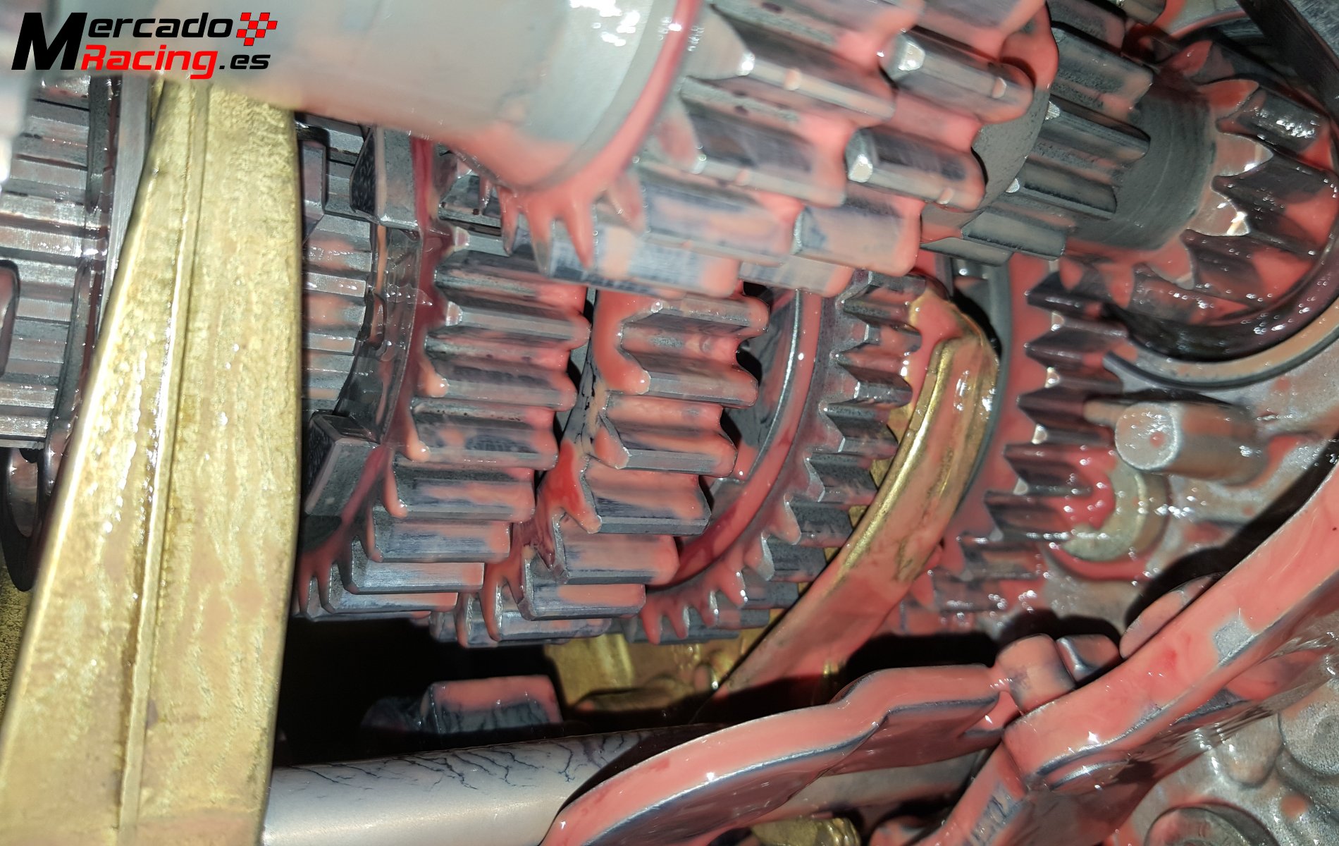 M.a dientes rectos a crabots