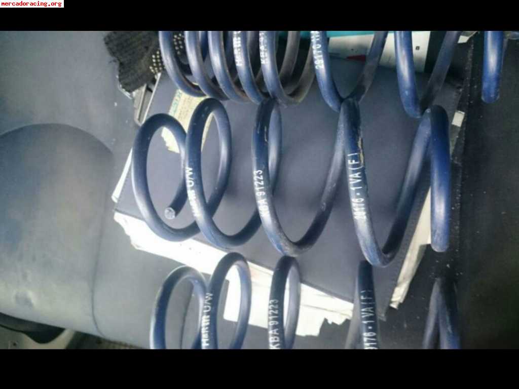 Muelles h&r seat leon