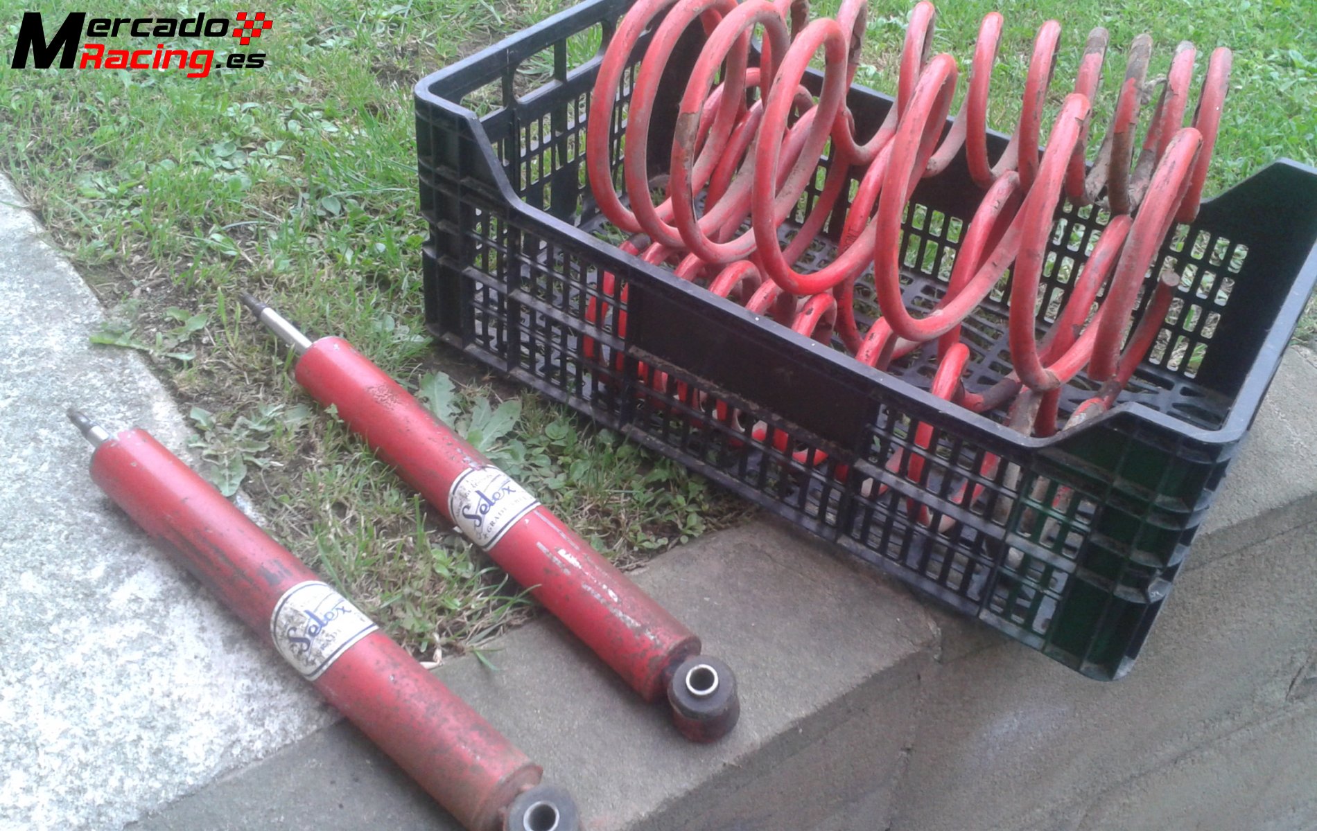 Ford focus muelles selex