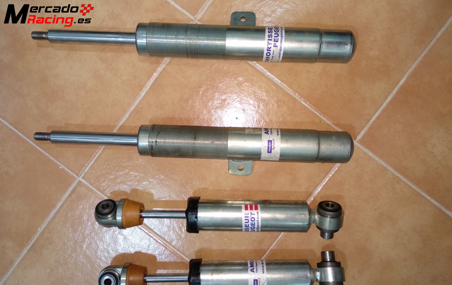 Suspensión 206 desafio