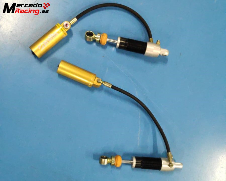 Proflex trasera para saxo/106