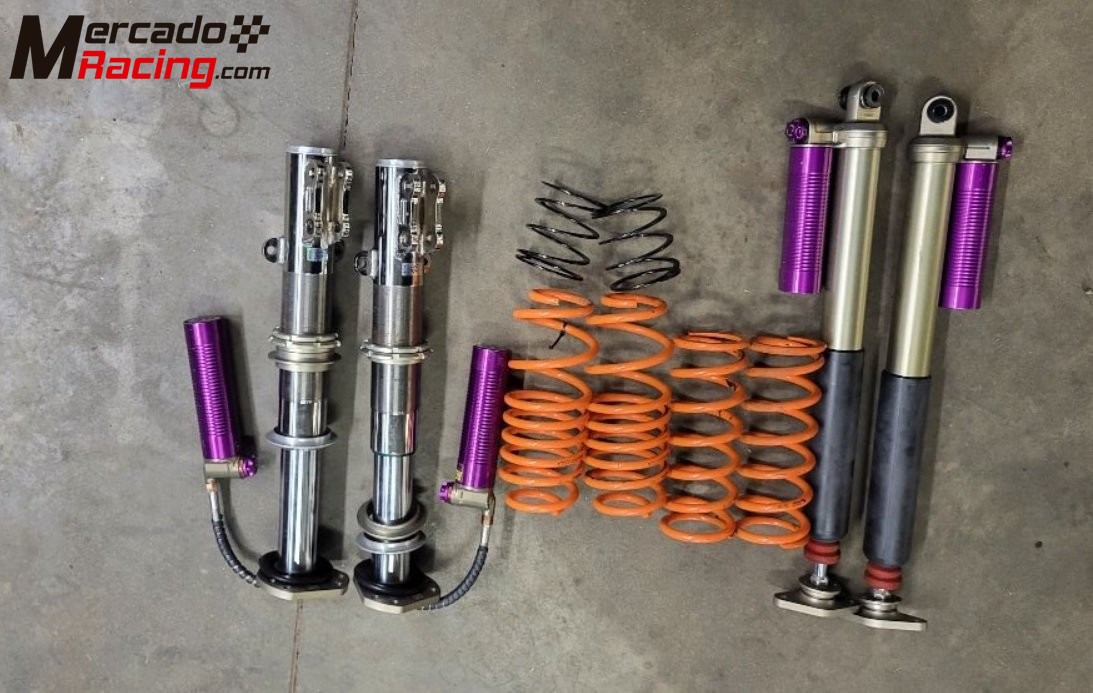 Reiger suspension for ford fiesta rally4