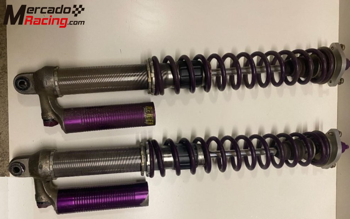 Reiger suspension for bmw e36 e46