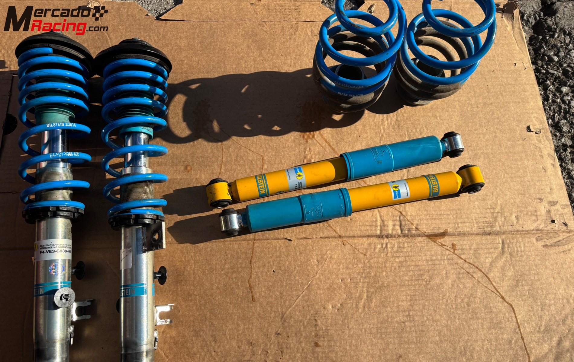 Suspensión blistein b14