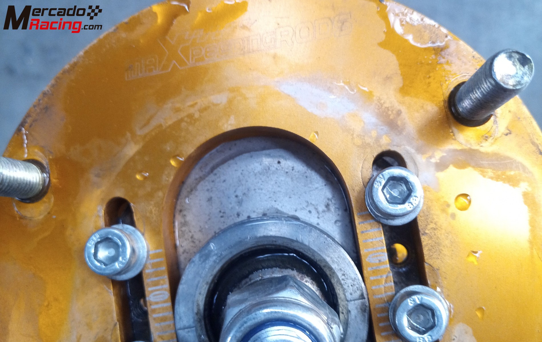 Suspensión delantera bmw e46 roscada