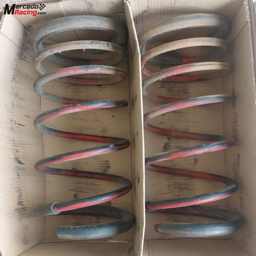 Muelles eibach de rebaje -5 cm para citroën saxo o peugeot 106 / 206.