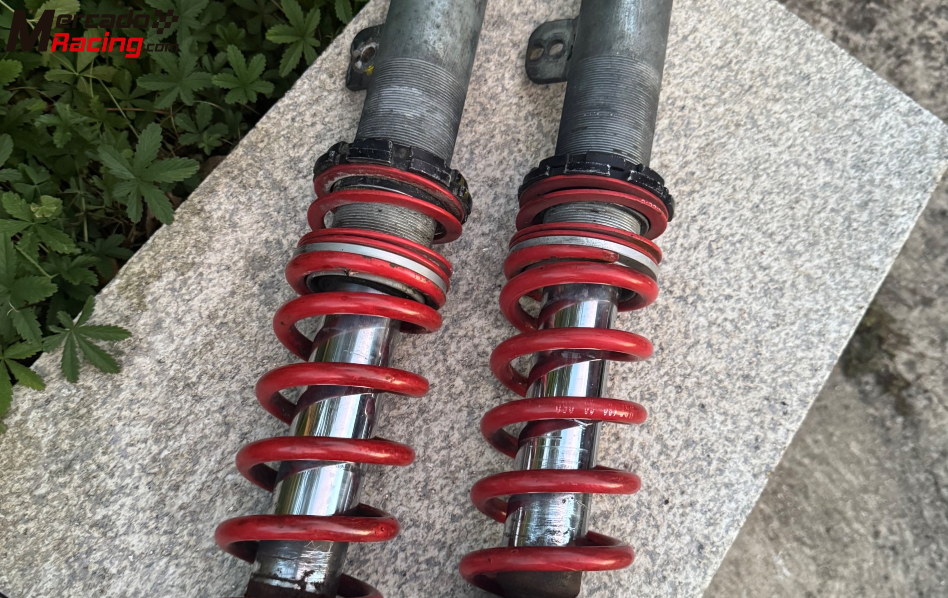 Suspensiones engimek y bilstein